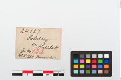 Etiketten zu Perlenkette (NHMW-PRAE-024127)
